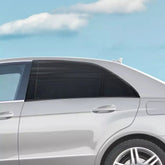 Capa Protetora Solar para Carro - Buba